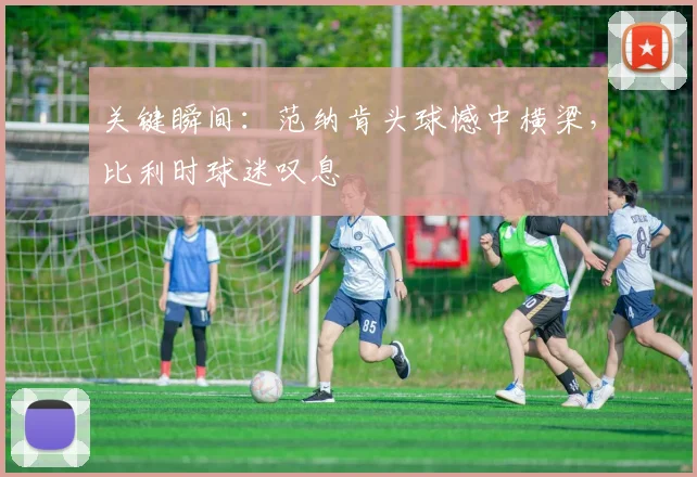 关键瞬间：范纳肯头球憾中横梁，比利时球迷叹息